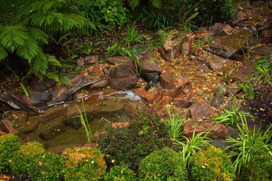 sawaterscapes_GC_Stirling_Serenity pond waterfalls 3m x 3m_landscape_0006s_0002_H95A9508-2
