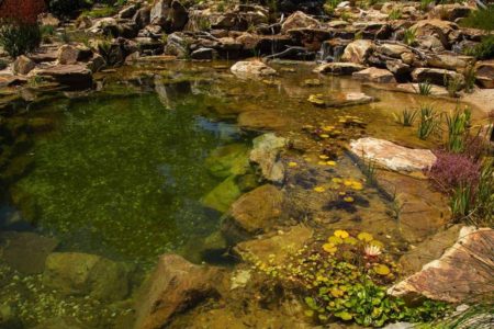 sawaterscapes_Jim Deb_ Crafers_Oasis eco system wetland filtration 7m x 5m_landscape_0003s_0021_H95A9266-2